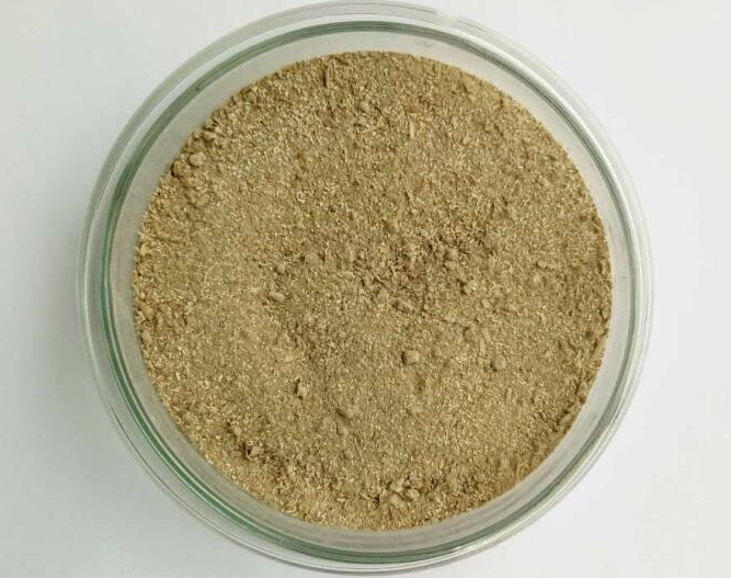 5ef97c97698e2.png 5ef97c97698e2.png