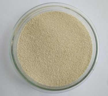 5f4488c917276.png 釀酒酵母.png